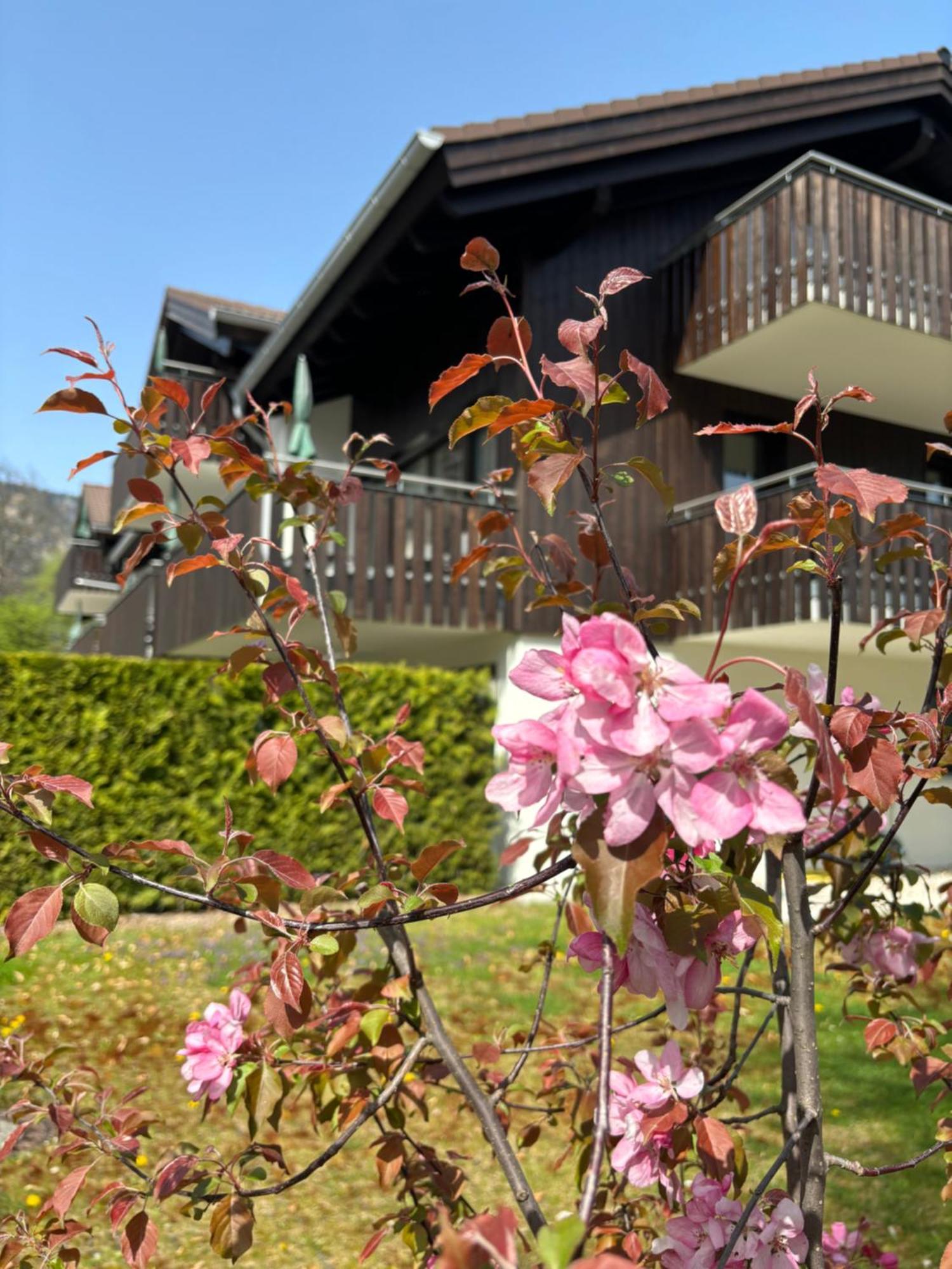 Bader Suites Garmisch-Partenkirchen Luaran gambar